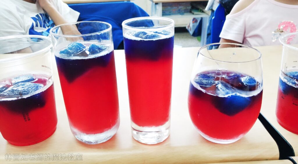 蝶豆花夢幻神祕飲，教學流程大公開