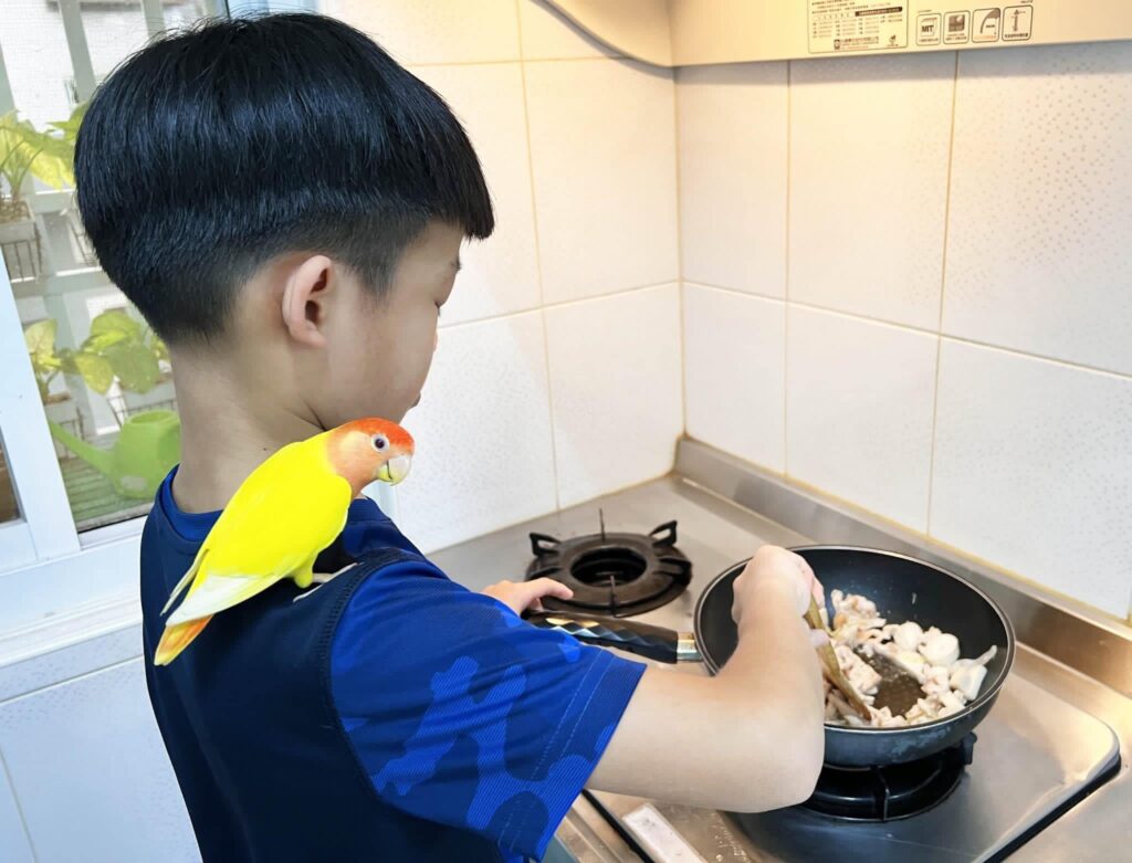 【鳥寶日記】鳥寶放風愛黏人，追主人