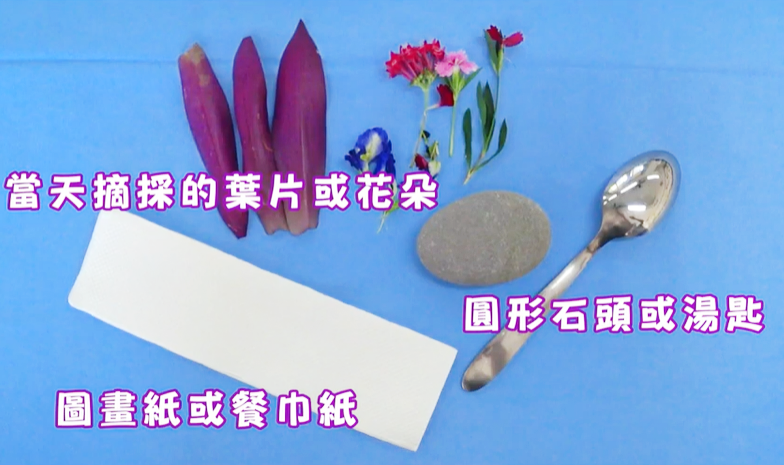 植物敲拓有妙趣，揭發天然染色的祕密
