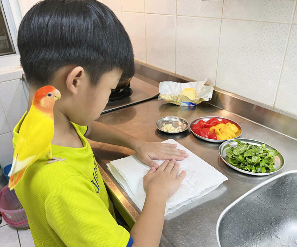 【親子料理】奶香扇貝肉Q彈有嚼勁，好煎好吃失敗率低