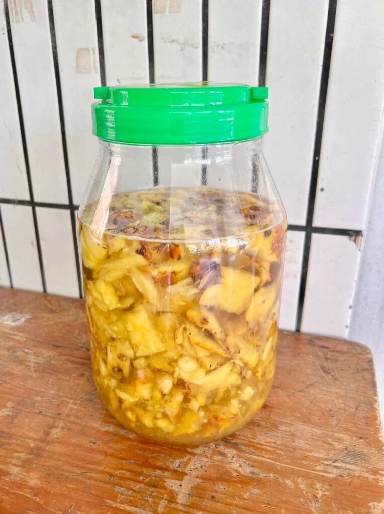 如何製作鳳梨皮發酵液態肥料