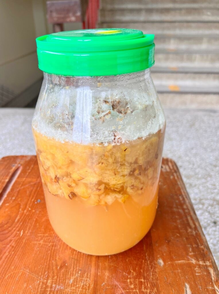 如何製作鳳梨皮發酵液態肥料