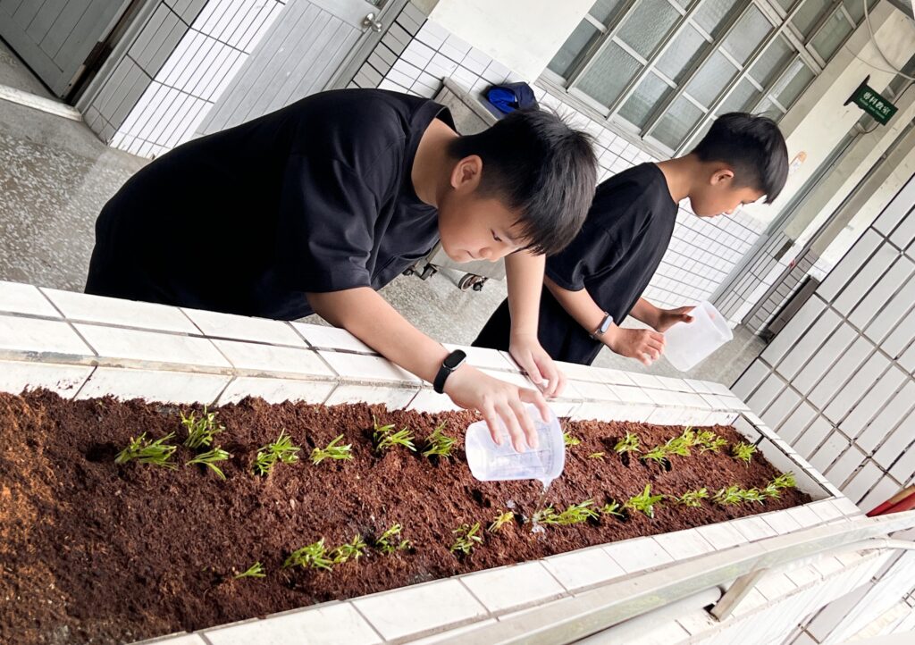 【食農教育】心力交織的一個月：挑戰與專注讓時間感知異常，學生們的空心菜啟蒙之旅