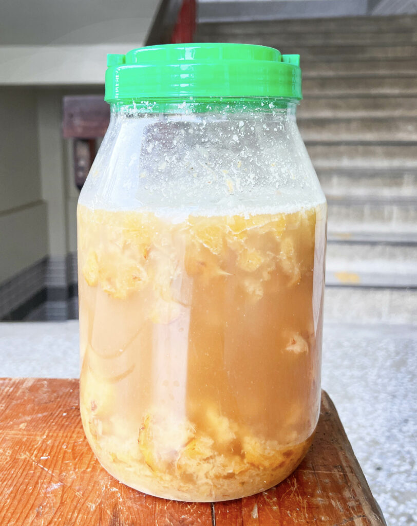 如何製作鳳梨皮發酵液態肥料