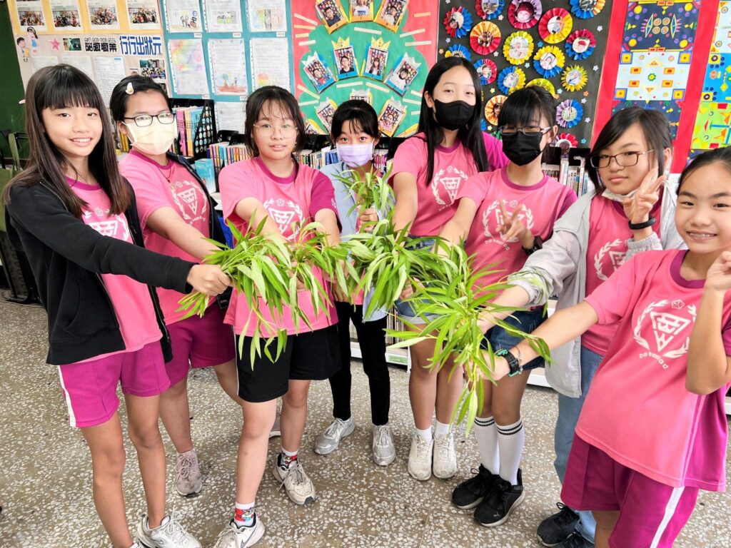【食農教育】心力交織的一個月：挑戰與專注讓時間感知異常，學生們的空心菜啟蒙之旅