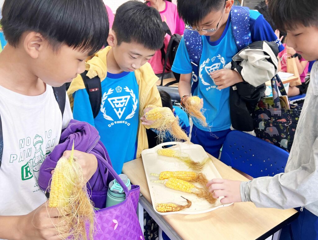 【食農教育】種植的幸福：從「醜玉米」中看見成長與收穫，領悟「過程」與「結果」的人生哲理