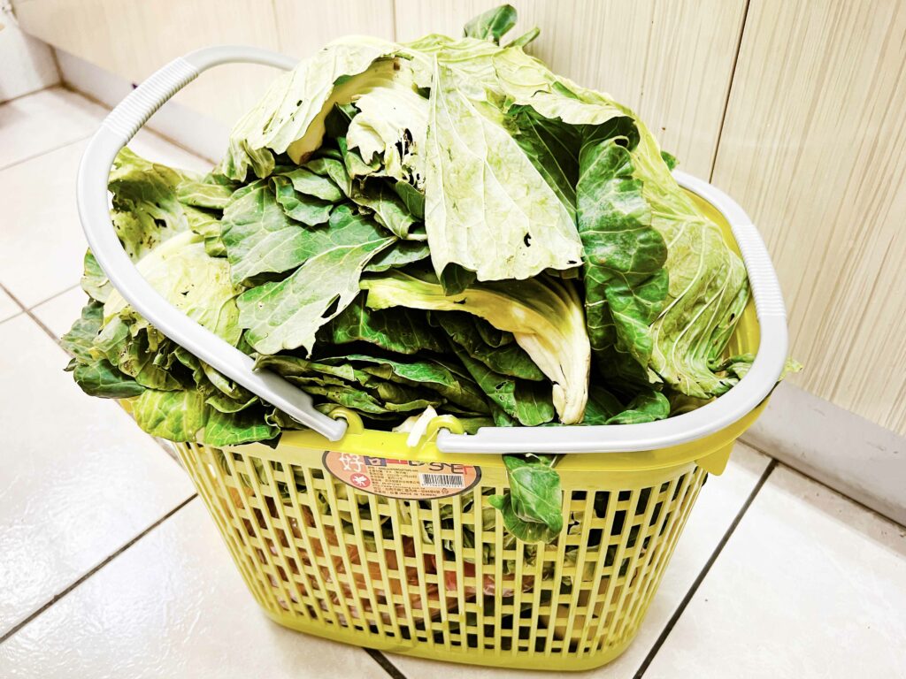 DIY有機堆肥，從廢土到沃土：利用舊土製造高效有機堆肥
