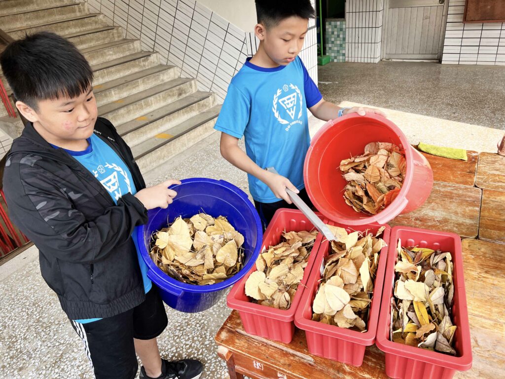 落葉變寶藏，如何製作落葉堆肥？國小生教你打造營養土壤的祕密，簡單步驟大揭密！