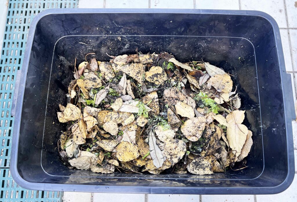 DIY有機堆肥，從廢土到沃土：利用舊土製造高效有機堆肥