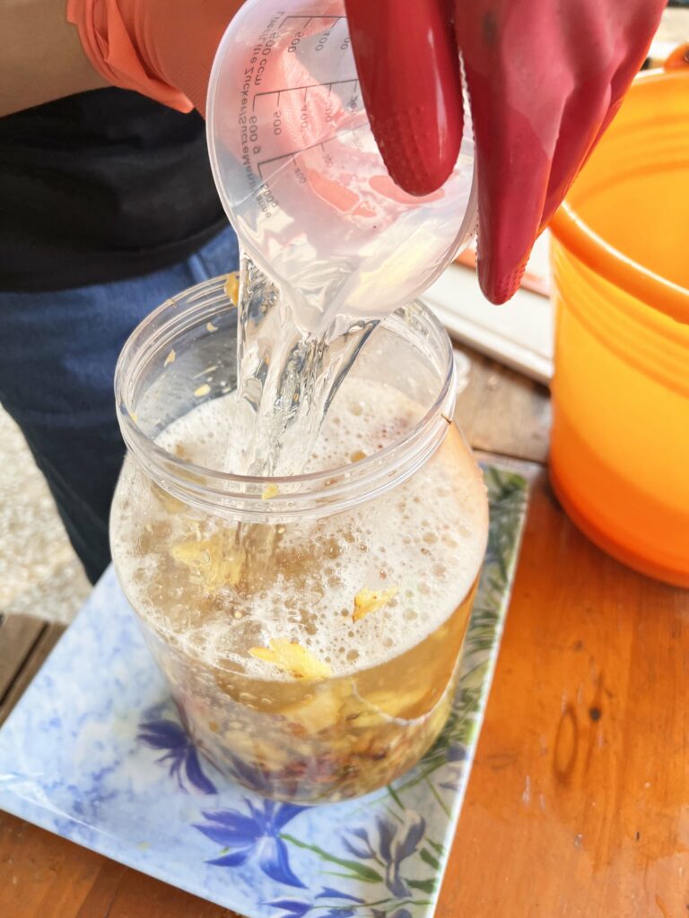 如何製作鳳梨皮發酵液態肥料