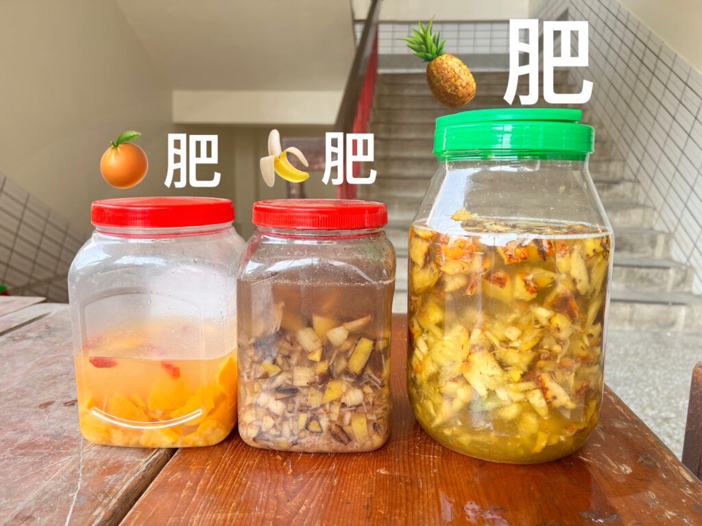 如何製作鳳梨皮發酵液態肥料