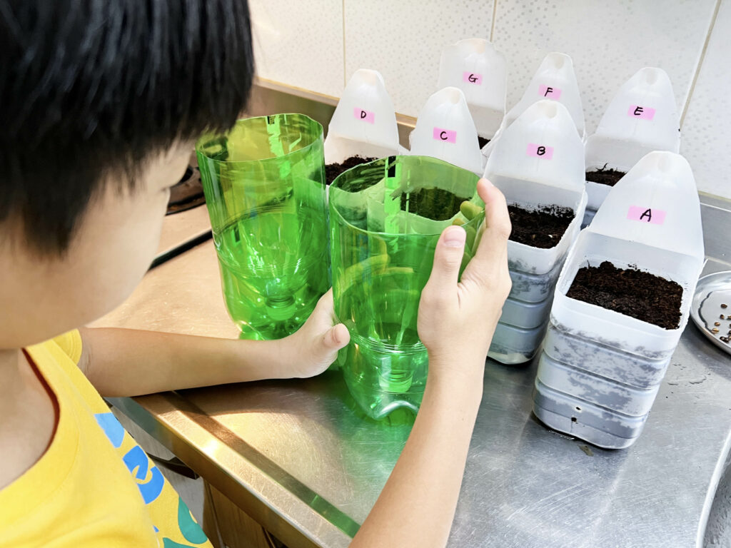 創意寶特瓶種菜，輕鬆解決澆水問題，方便觀察根系生長，孩子的最佳自然課堂
