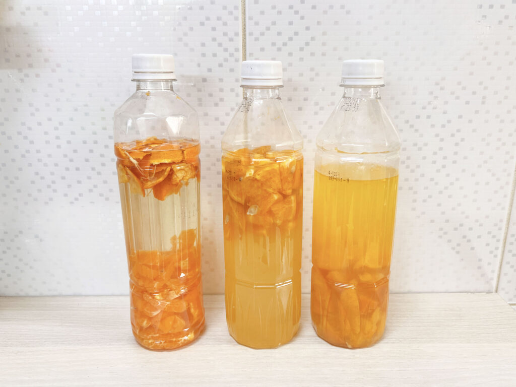 如何製作橘子液態肥料
