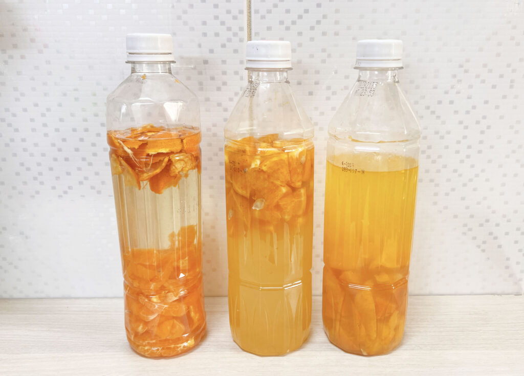 如何製作橘子液態肥料