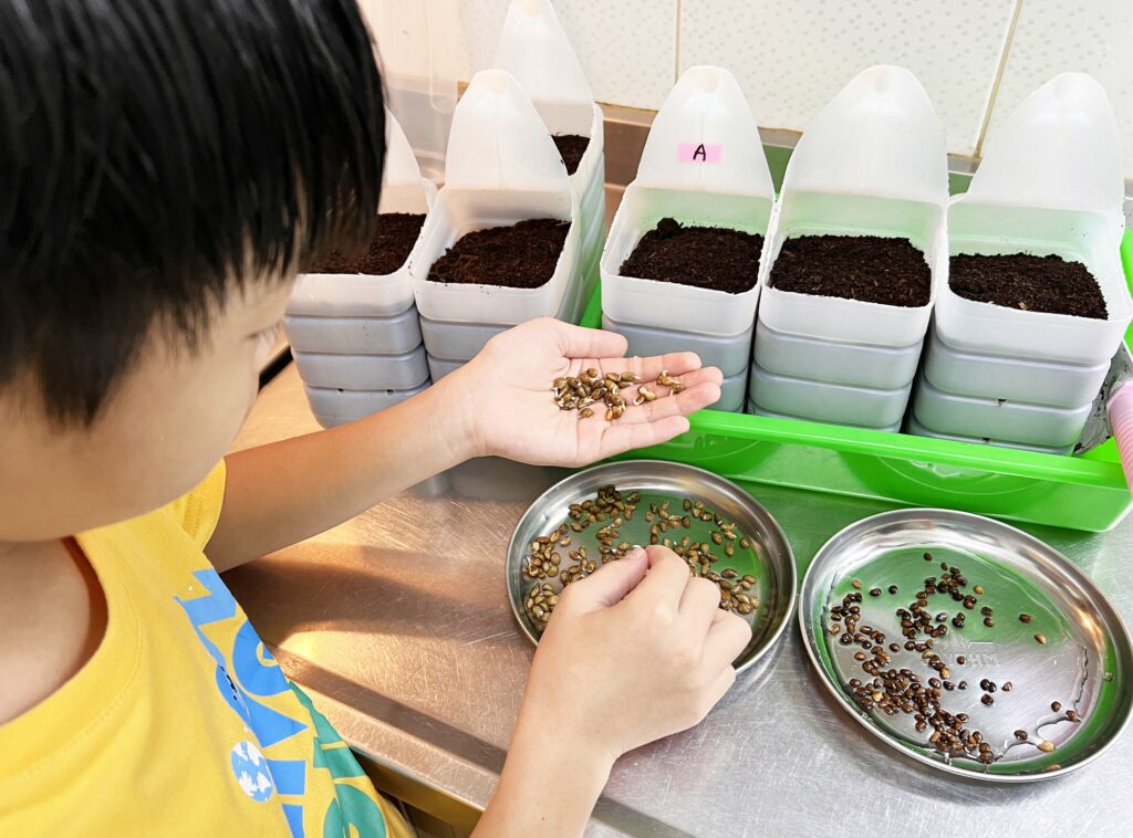 零花園也能種出新鮮蔬菜！利用家庭號牛奶瓶，讓孩子從土壤到餐桌，體驗農耕樂趣！