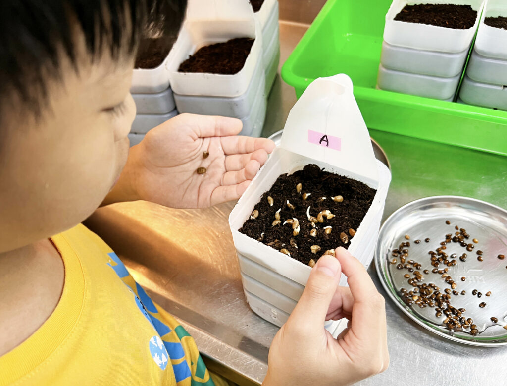 零花園也能種出新鮮蔬菜！利用家庭號牛奶瓶，讓孩子從土壤到餐桌，體驗農耕樂趣！