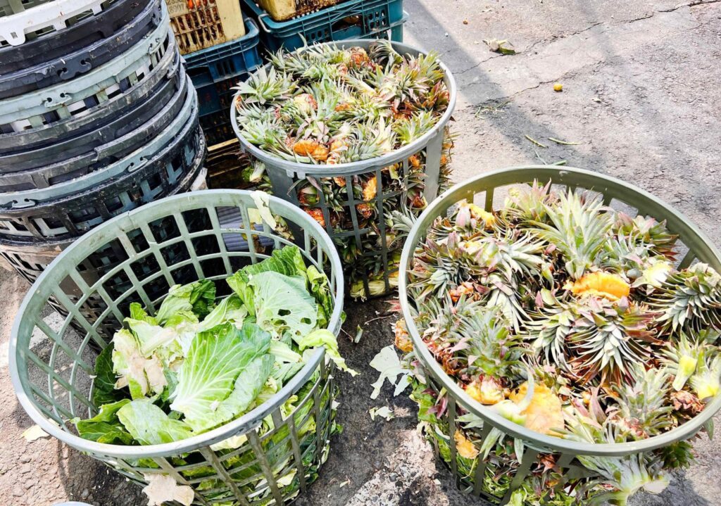 為什麼要製作「液態肥料」？誰需要「液態肥料」？「液態肥料」有什麼好處？如何製作？
