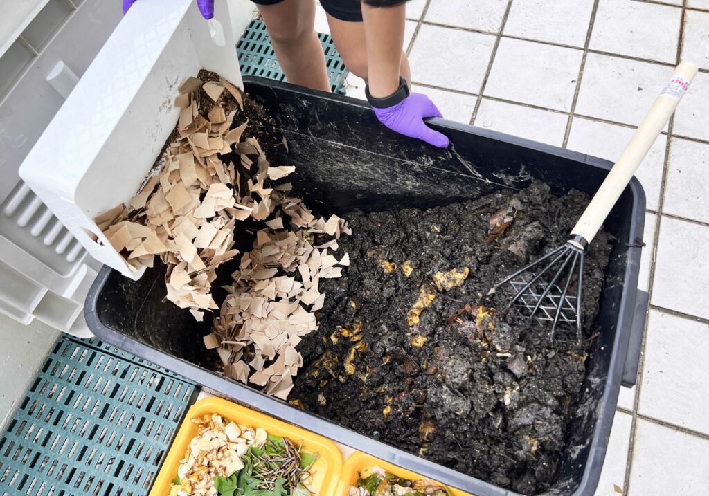 堆肥有臭味，有小飛蟲、螞蟻，該怎麼辦？如何利用廚餘、落葉製作堆肥?