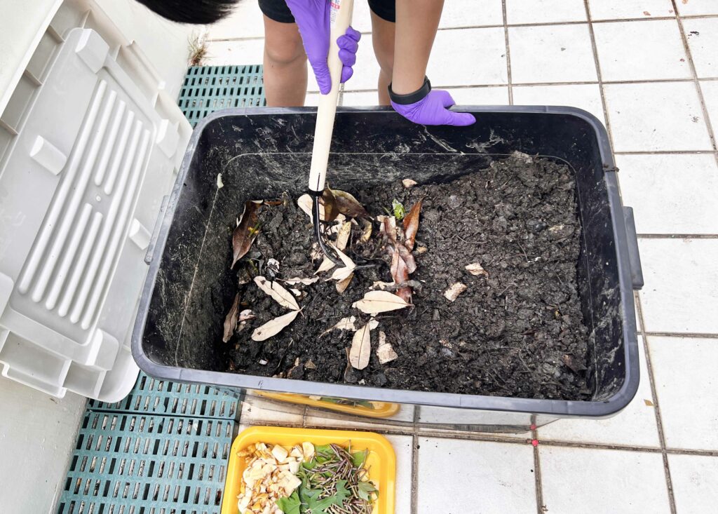 堆肥有臭味，有小飛蟲、螞蟻，該怎麼辦？如何利用廚餘、落葉製作堆肥?